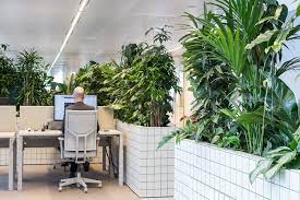 pemasangan partisi ruangan kantor area IKN